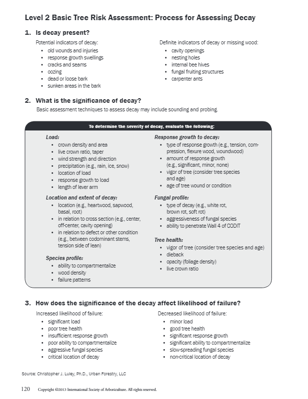 Identification Process For Assessing Decay