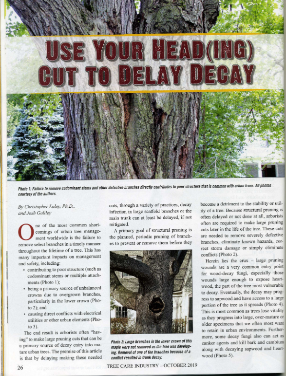 Management Heading cut to Delay Decay_TCIA