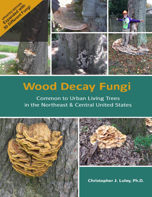 Wood Decay Fungi Common to the Northeast and Central United States book cover